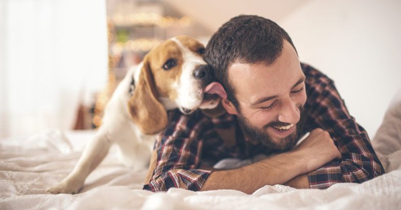 10 dingen die je hond doet waarmee hij zegt “Ik hou van jou”