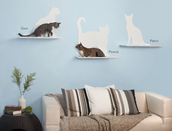 3 ideetjes voor je huis waar je kat dol op zal zijn!