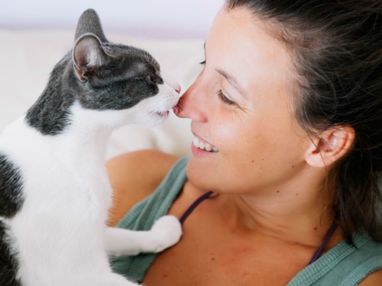 7 dingen die je kat doet waarmee ze zegt “Ik hou van jou”