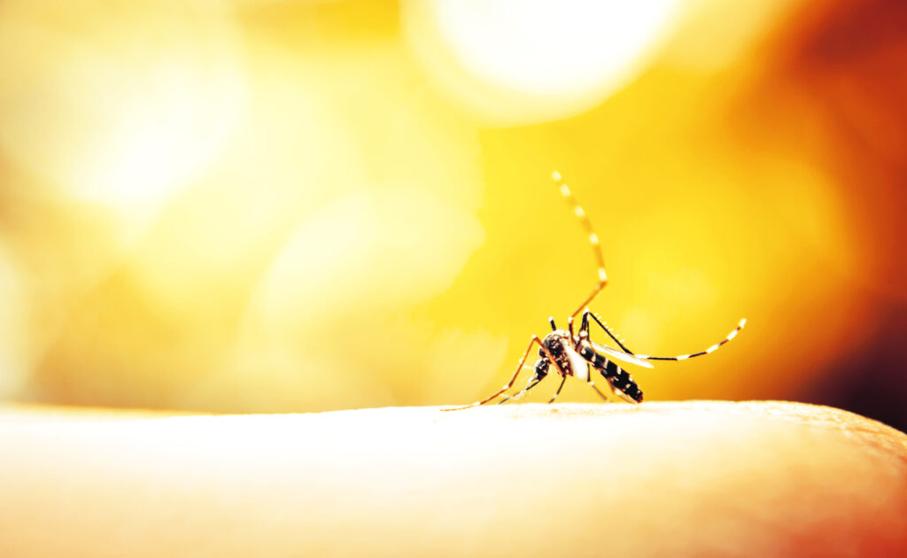 7 handige tips om muggen te bestrijden
