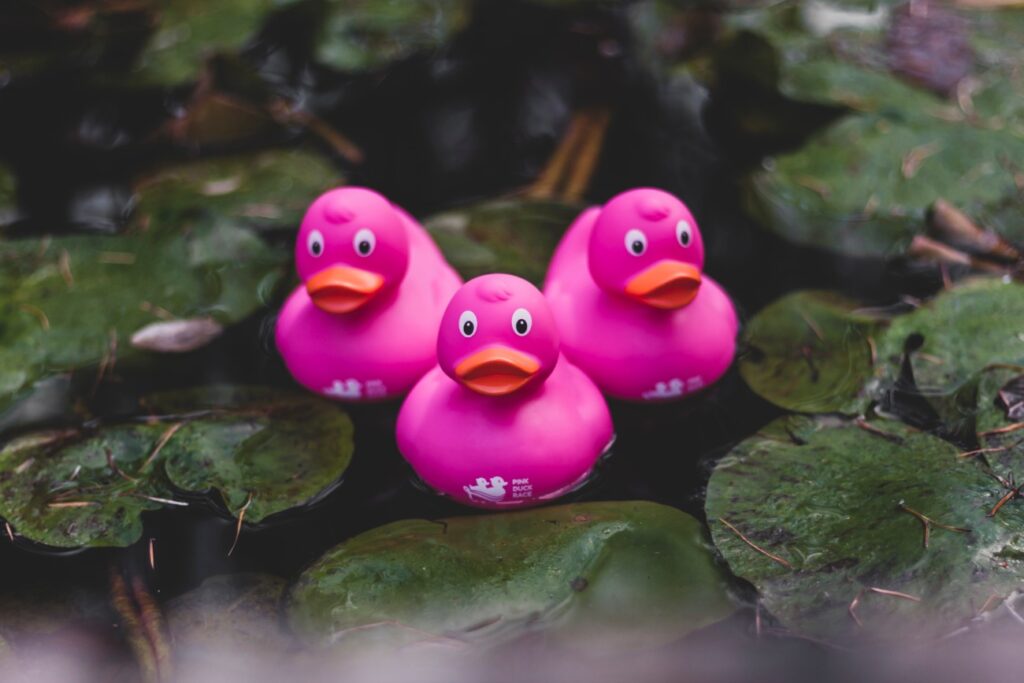 Think Pink laat 20.000 badeendjes racen om aandacht te vragen voor borstkankeronderzoek