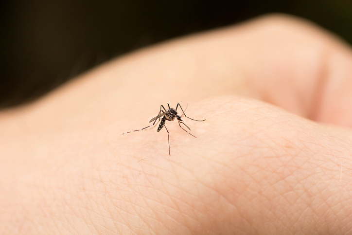 Deze middeltjes helpen tegen jeukende muggenbulten
