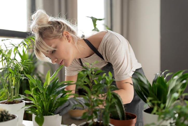Absoluut geen groene vingers? Nederlands bekendste plantenblogster geeft 7 tips om je kamerplanten de winter door te krijgen