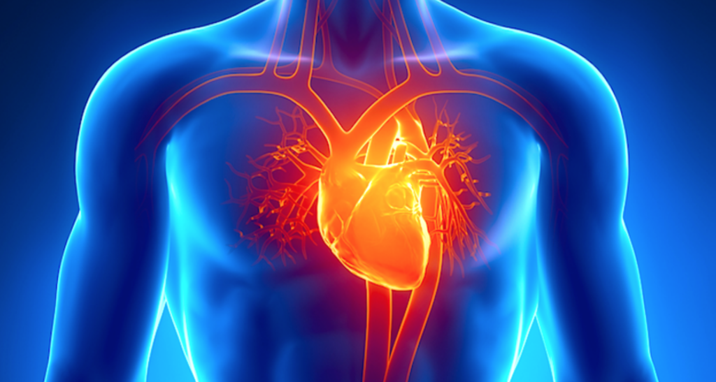 Levensverwachting bij hartfalen en nierfalen