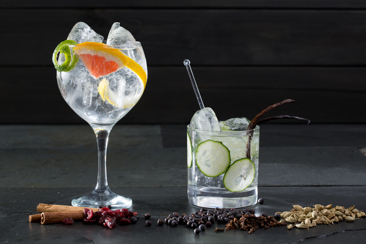 Tien redenen waarom gin-tonic liefhebbers de beste ooit zijn